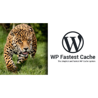 WP-Fastest-Cache-WordPress-Plugin